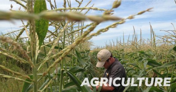 Suståne for Agriculture